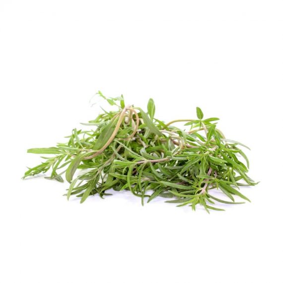 Summer Savoury