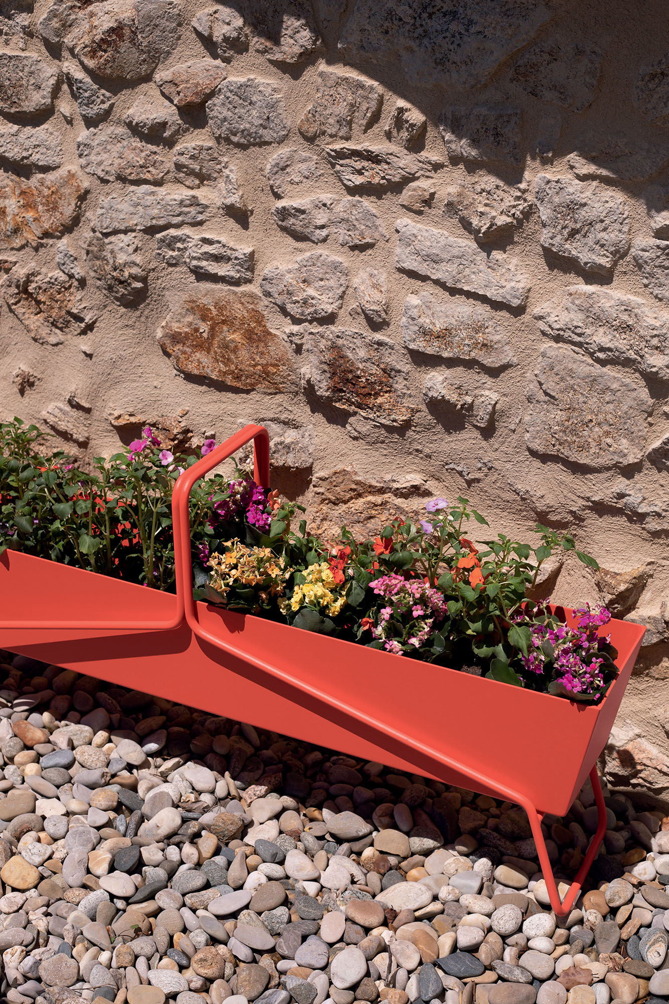 BASKET_CAPUCINE_REY_VISUEL2022_SARAH_BALHADERE